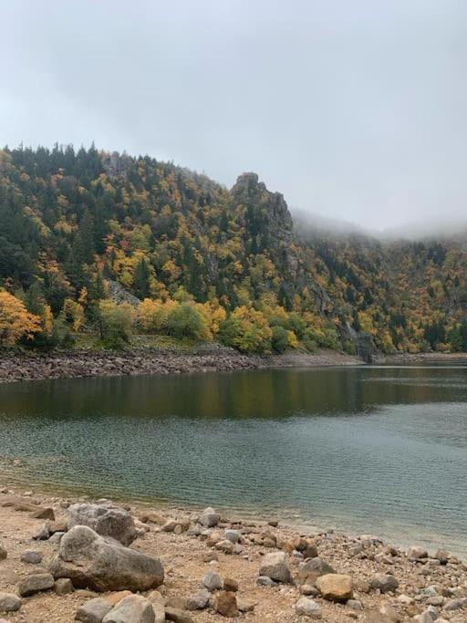 Le Belvedere Du Lac Blanc Orbey Eksteriør bilde